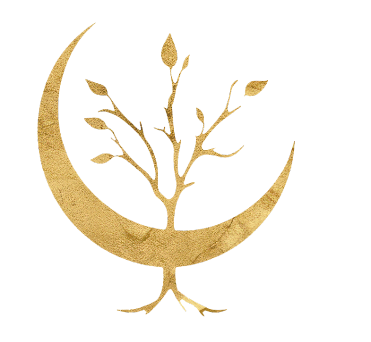 Artboard 1 copy 14@2x 1